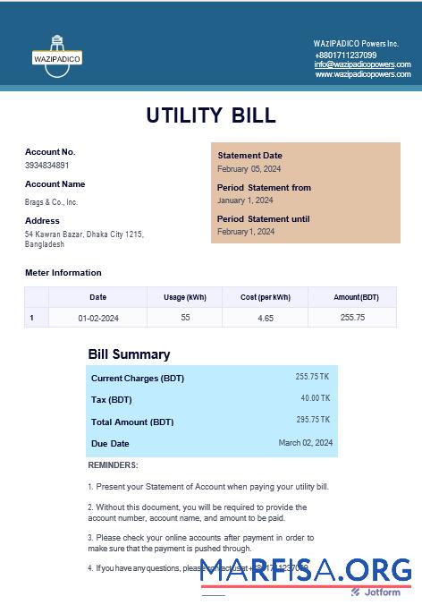 Realistic BANGLADESH WAZIPADICO POWER business utility bill Word and PDF template